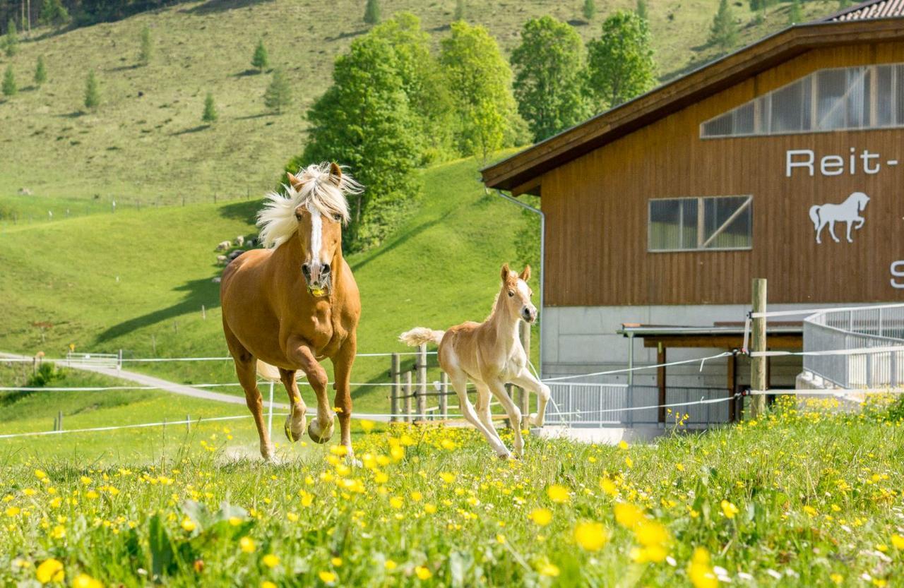 Hotel Schoerhof Saalfelden Ngoại thất bức ảnh